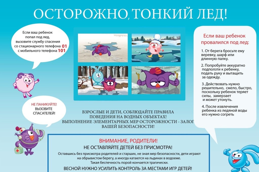 optimize-1024x683.jpg